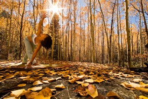 Yogini Ally Nguyen (Asian/American female, late twenties) performs yoga (Revolved Triangle Pose) amid autumn aspen trees, Little Cottonwood Canyon, Salt Lake City, Utah USA.